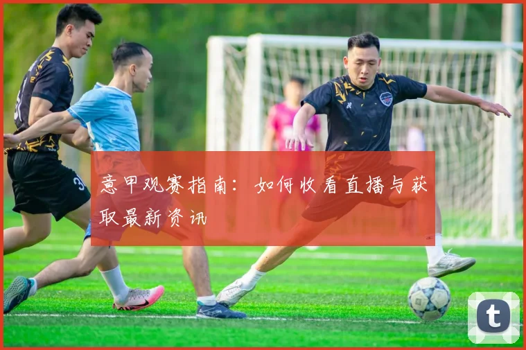 意甲观赛指南：如何收看直播与获取最新资讯