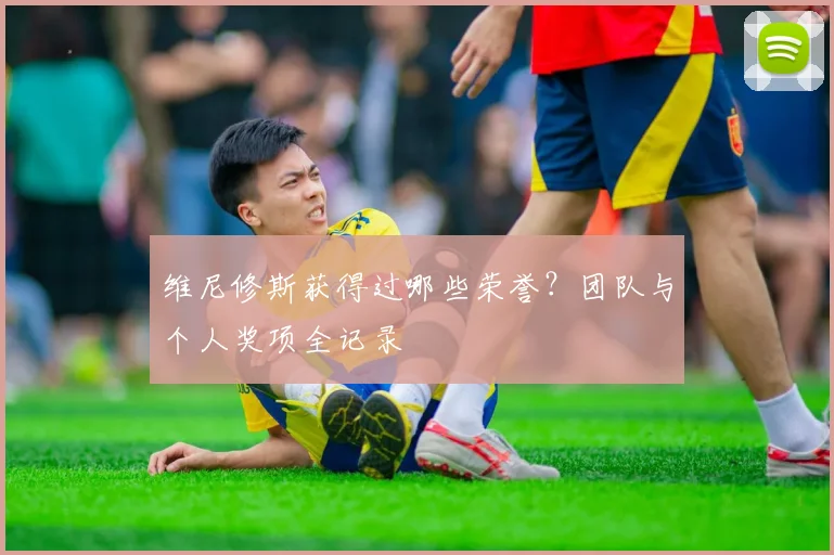 维尼修斯获得过哪些荣誉？团队与个人奖项全记录
